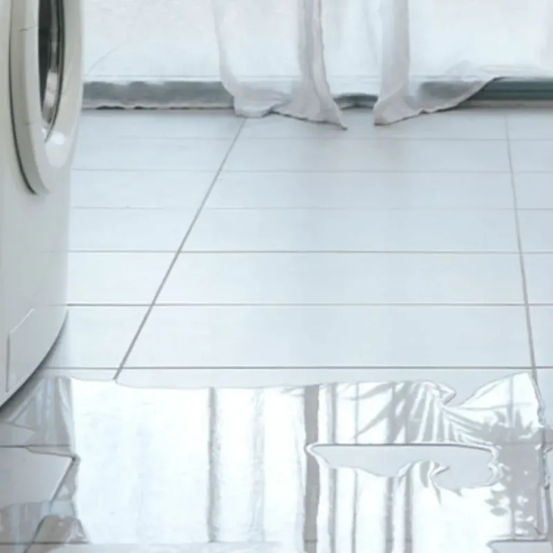 Appliance Leak Cleanup in Ahoskie, NC