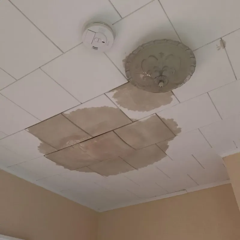 Ceiling Water Damage Repair in Ahoskie, NC