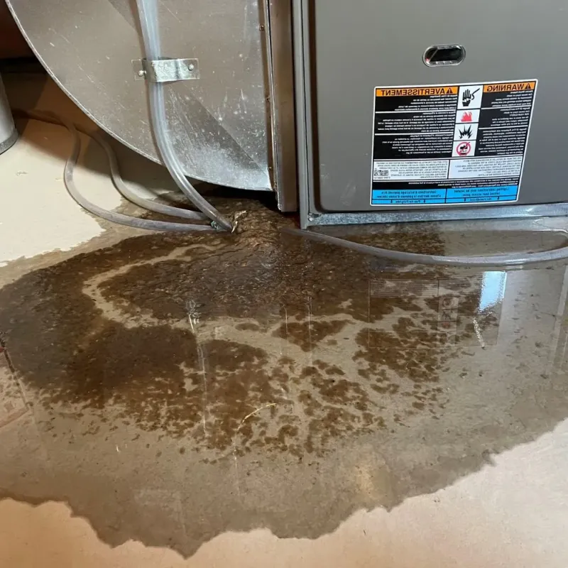 Pipe Burst and Leak Restoration in Ahoskie, NC